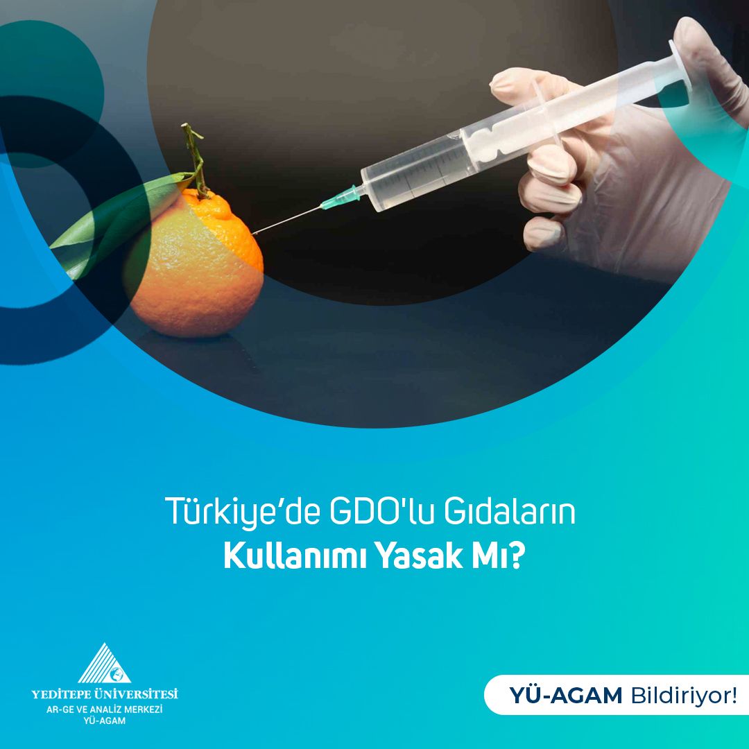 Türkiye'de GDO' lu Gıdaların Kullanımı Yasak mı?